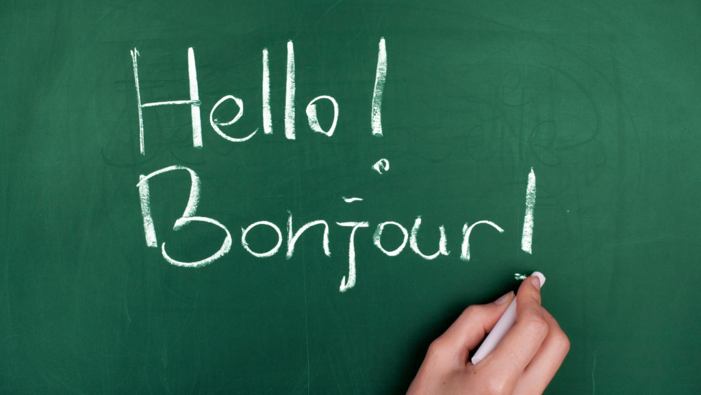 Professional French Translation Services Global LTS