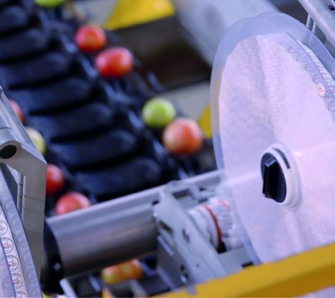 RM6-image-for-Sells-01.remini-enhanced-scaled